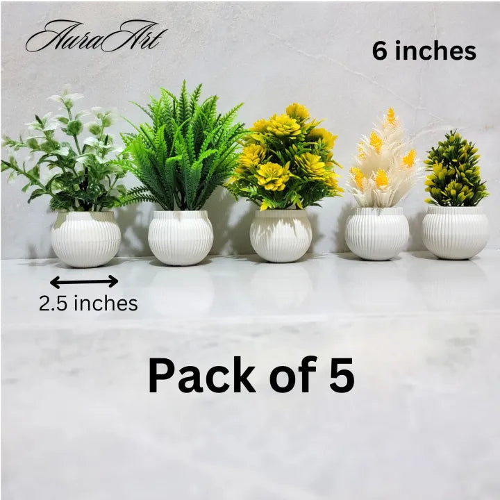 Elegant White Pot Table Top Decorative Plants