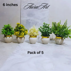 Elegant White Pot Table Top Decorative Plants
