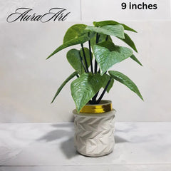 Elegant White Pot Table Top Decorative Plants