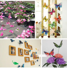 3D Magnetic Butterflies Wall Decor
